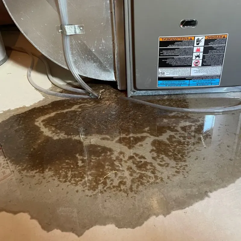 Pipe Burst and Leak Restoration in Pennville, PA