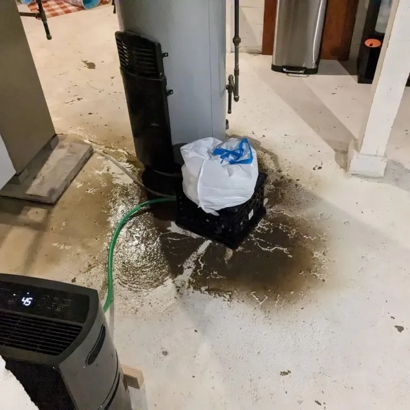 Sewage Backup Cleanup Service in Pennville, PA